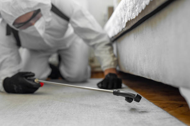 Professional Termite Control technician working in Winslow, AZ