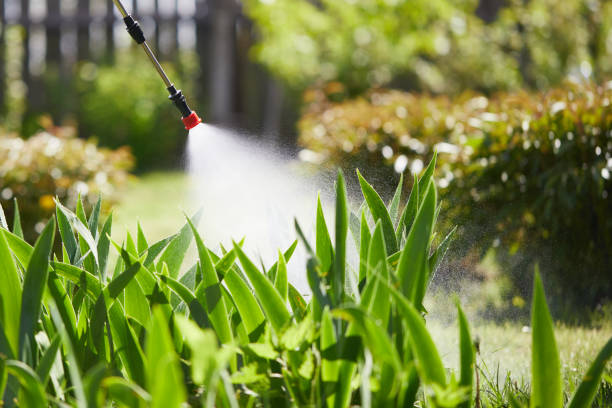 24/7 Emergency Termite Control experts in Winslow, AZ